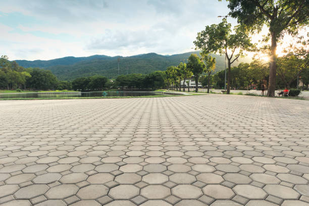Best Driveway Pavers Near Me  in Edgar, WI
